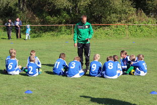 八戒体育官方网站-五大联赛核心球员缺阵时教练战术应变差异分析，五大联赛主教练工资排名